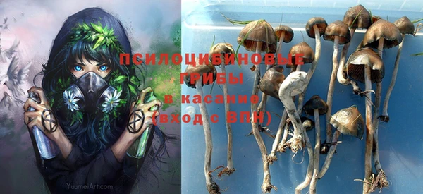 спиды Аркадак
