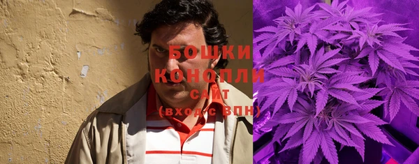 спиды Аркадак