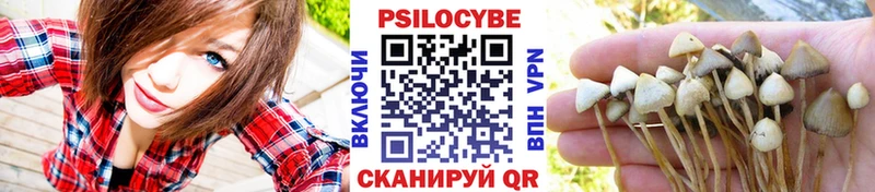 Псилоцибиновые грибы GOLDEN TEACHER  Навашино 